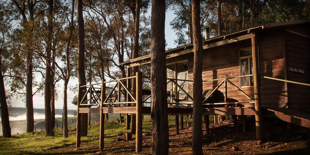 Balingup Heights Hilltop Forest Cottages Szoba fotó